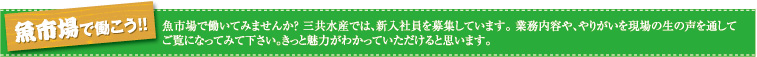 魚市場で働いてみませんか？ 三共水産では、新入社員を募集しています。 業務内容や、やりがいを現場の生の声を通して ご覧になってみて下さい。きっと魅力がわかっていただけると思います。